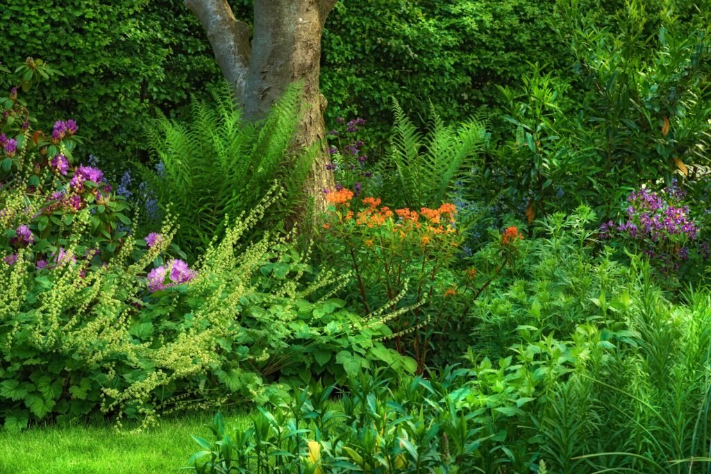 my-beautiful-garden-in-the-month-of-june-2024-10-22-16-39-42-utc-min